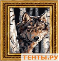 Раскраски 40х50 Артикул Y006 Раскраски 40х50 Артикул Y006