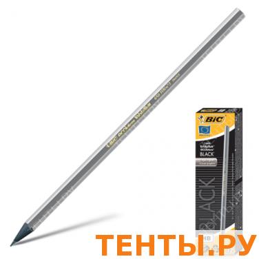 Карандаш ч/гр BIC "Evolution Black", HB, черный с сереб.лакиров, без резинки, заточ,карт.упак,896017 Карандаш ч/гр BIC "Evolution Black", HB, черный с сереб.лакиров, без резинки, заточ,карт.упак,896017