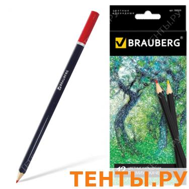 Карандаши цветные BRAUBERG 12 цв, черный корпус, заточенные, высшее качество, живопись, 180539 Карандаши цветные BRAUBERG 12 цв, черный корпус, заточенные, высшее качество, живопись, 180539