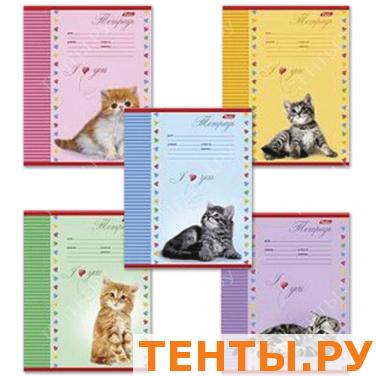 Тетрадь 24л. "Хатбер", кл., мел. карт. обл., Котята, 24Т5B1(T015032) Тетрадь 24л. "Хатбер", кл., мел. карт. обл., Котята, 24Т5B1(T015032)