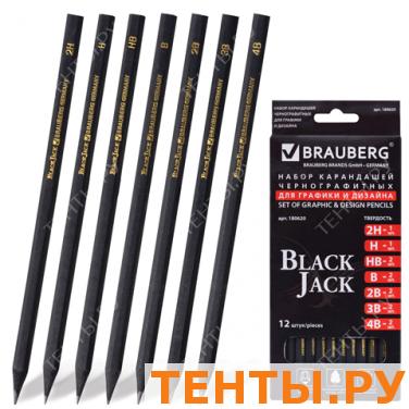 Карандаши ч/гр BRAUBERG, НАБОР 12 шт., "Black Jack" (Блэк Джек), 2Н-4В, чер,чер.дерево,заточ,180620 Карандаши ч/гр BRAUBERG, НАБОР 12 шт., "Black Jack" (Блэк Джек), 2Н-4В, чер,чер.дерево,заточ,180620