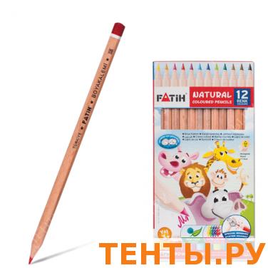 Карандаши цветные PENSAN (FATIH) 12цв, заточенные, некраш.корпус, карт.упаковка, 33113 Карандаши цветные PENSAN (FATIH) 12цв, заточенные, некраш.корпус, карт.упаковка, 33113