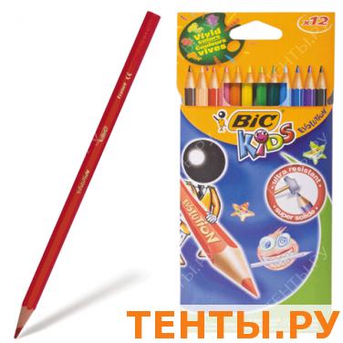 Карандаши цветные пластиковые BIC Evolution, 12цв., заточ., в картон. упак. с европодвесом, арт.9312 Карандаши цветные пластиковые BIC Evolution, 12цв., заточ., в картон. упак. с европодвесом, арт.9312