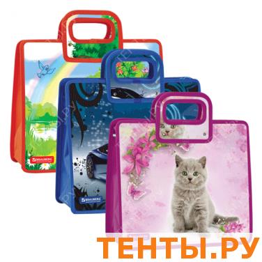 Сумка пластиковая BRAUBERG 34*30*13см, на молнии, ассорти ралли, котенок, собачки, 221672 Сумка пластиковая BRAUBERG 34*30*13см, на молнии, ассорти ралли, котенок, собачки, 221672