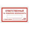 Знак вспомогательный "Ответственный за пожарную безопасность", прямоуг 250*140мм, самокл,610049/В 43 Знак вспомогательный "Ответственный за пожарную безопасность", прямоуг 250*140мм, самокл,610049/В 43