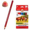 Карандаши цветные утолщенные KOH-I-NOOR "Triocolor", 12 цветов, трехгранные, грифель 5,6 мм, заточенные, 3142012005KS Карандаши цветные утолщенные KOH-I-NOOR "Triocolor", 12 цветов, трехгранные, грифель 5,6 мм, заточенные, 3142012005KS