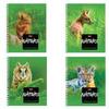 Тетрадь 48 л., HATBER, гребень, клетка, обложка мелованный картон, "Wild Nature", 48Т5В1гр, T243190 Тетрадь 48 л., HATBER, гребень, клетка, обложка мелованный картон, "Wild Nature", 48Т5В1гр, T243190