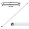   PHILIPS TL-D 36W/33-640, 36 ,  G13,    120 