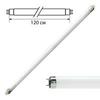   PHILIPS TL-D 36W/54-765, 36 ,  G13,    120 ,   , 815849