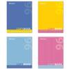  5, 96 ., BRAUBERG , ,  ,  , 401875