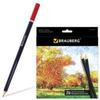   BRAUBERG "Artist line", 24 ,  , ,  , 180565