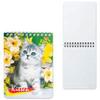    (110145 ) 6, 40 ., ,  , , HATBER, "", 406B1, 12291