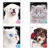  5, 80 ., HATBER, , ,  , " " (4 ), 8051, T213551