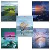  5, 80 ., HATBER, , ,  , "IMPRESSIONS" (5 ), 8051, T242148
