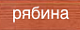 рябина