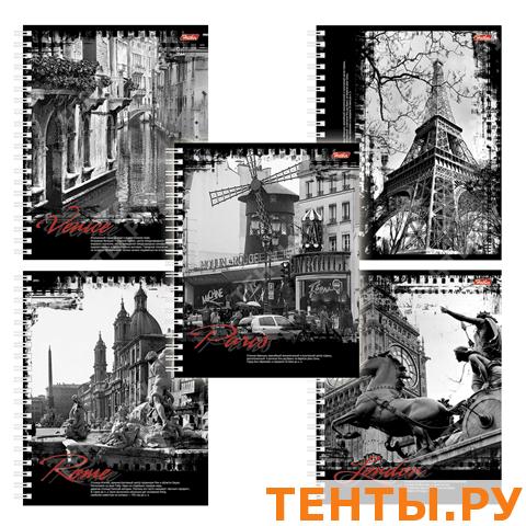 тетради 48 листов из европы. тетрадь на кольцах с замком. тетради в европе. тетрадь 40л. тетради в европе.