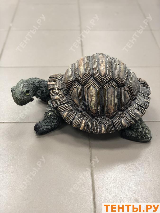 Большая Черепаха Фото